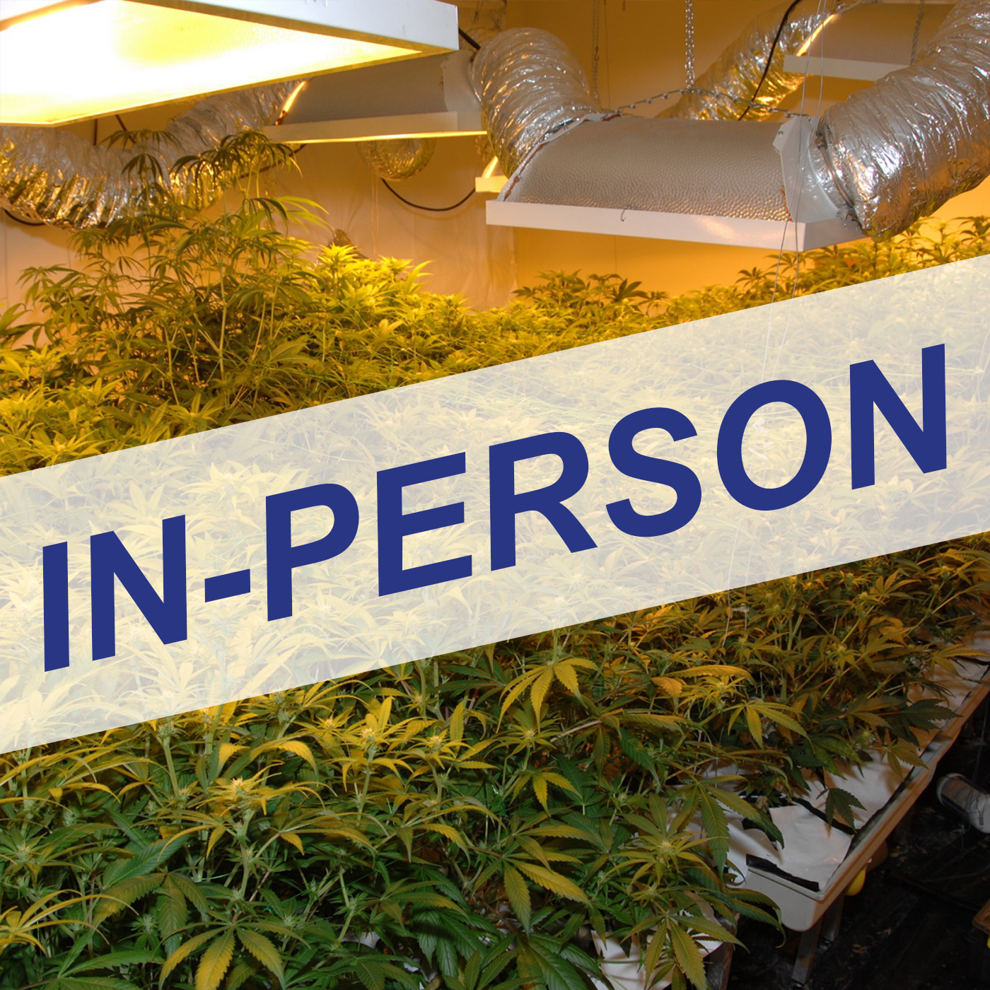 Cannabis Operations Hazards & Safety for Law Enforcement