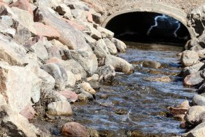 Storm Water Best Management Protects Environment