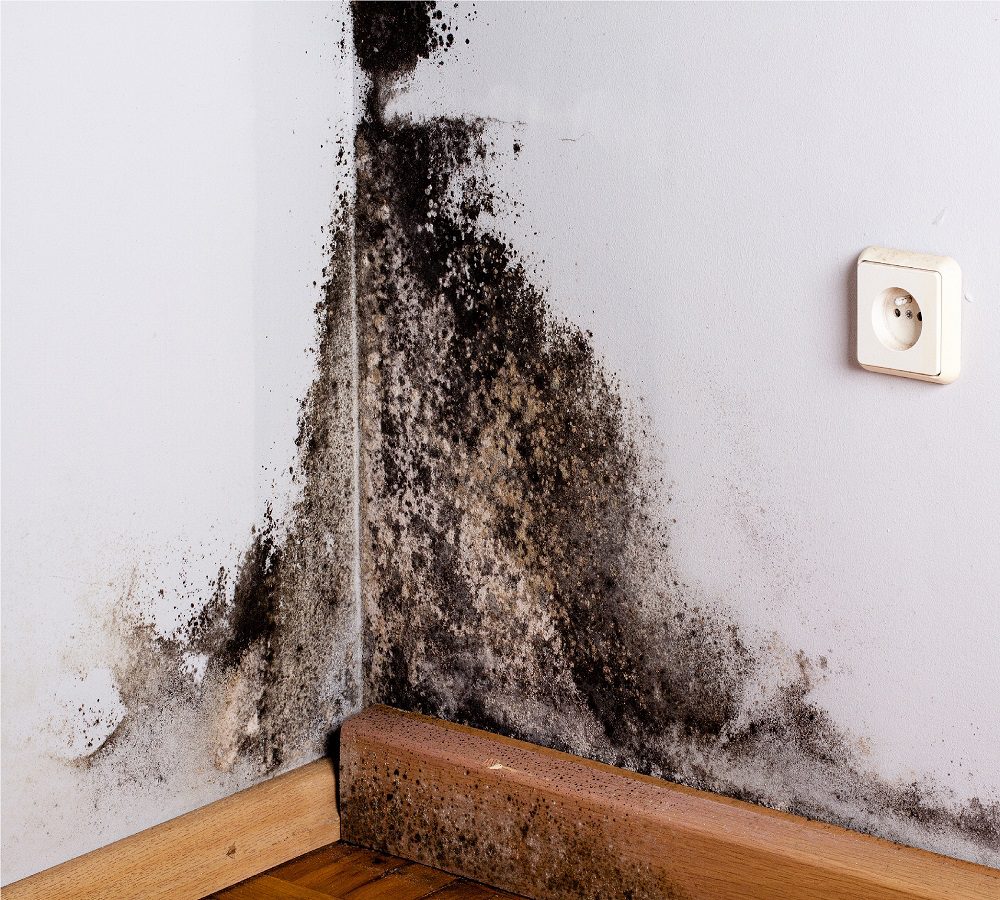 Workplace Dampness and Associated Hazards